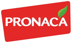 Pronaca